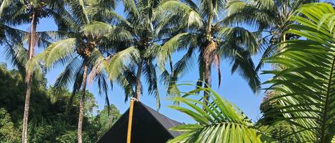 Tienda de campaña familiar, vista al jardín | 14 habitaciones y wifi gratis