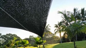 A grassy area with palm trees and a black canopy structure. - Campo Duro ecolodge (Tomás de Berlanga)