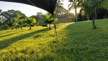 Tenda Keluarga, pemandangan kebun | Teras/patio