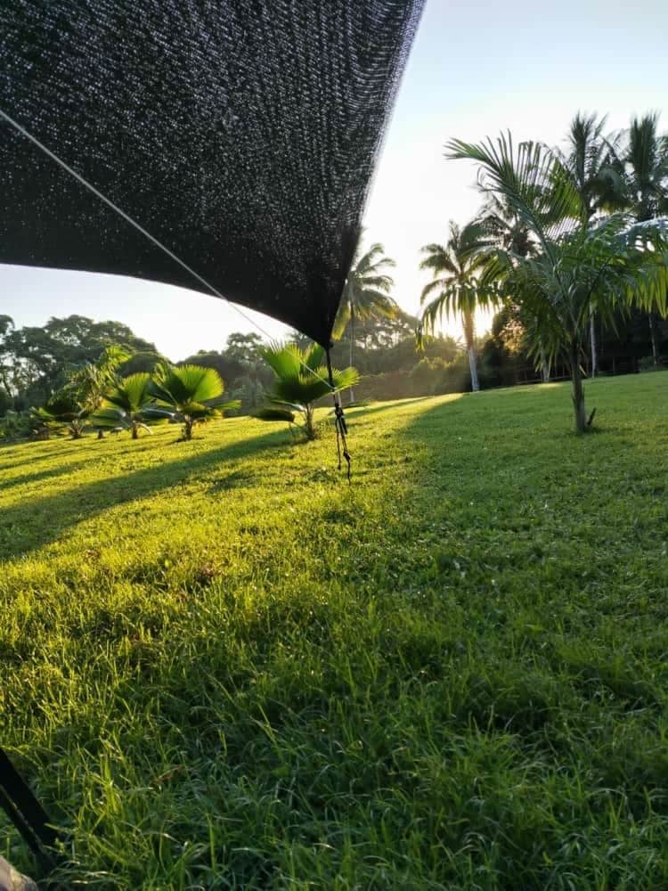 Campo Duro Ecolodge by null