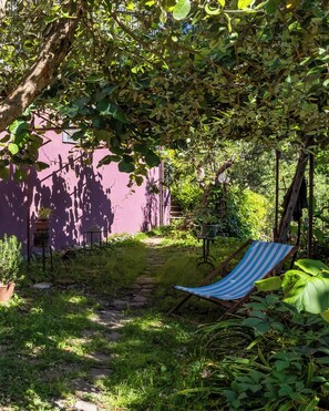 Àrea exterior de l'allotjament