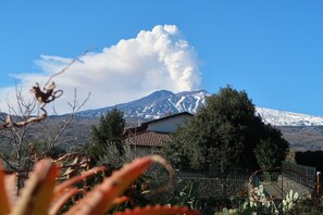 Property grounds - Etna-mare, Monolocale "l'antica Botte" (Sicilia)