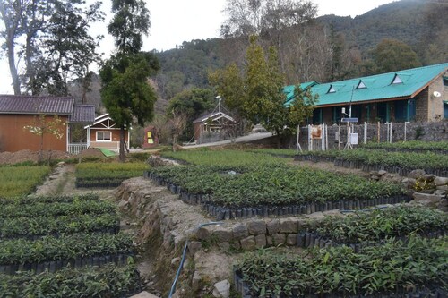 Forest Rest House Bir