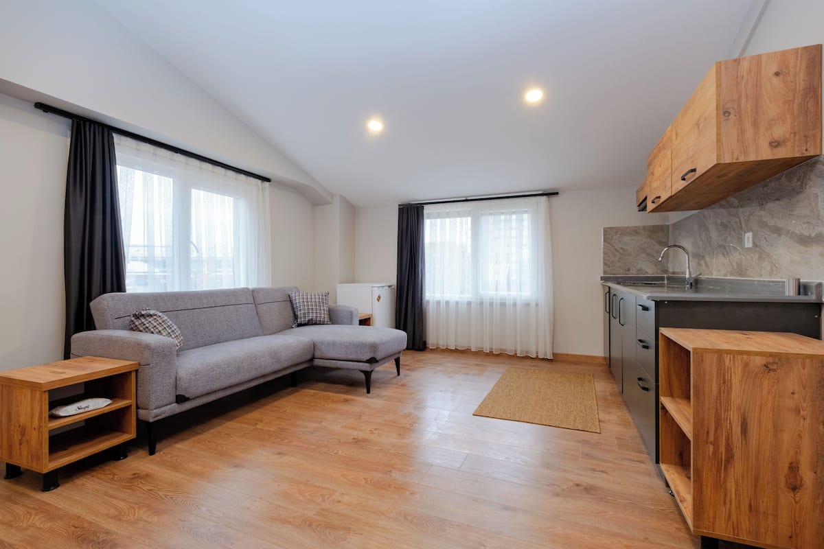 1+1 APARTMENT