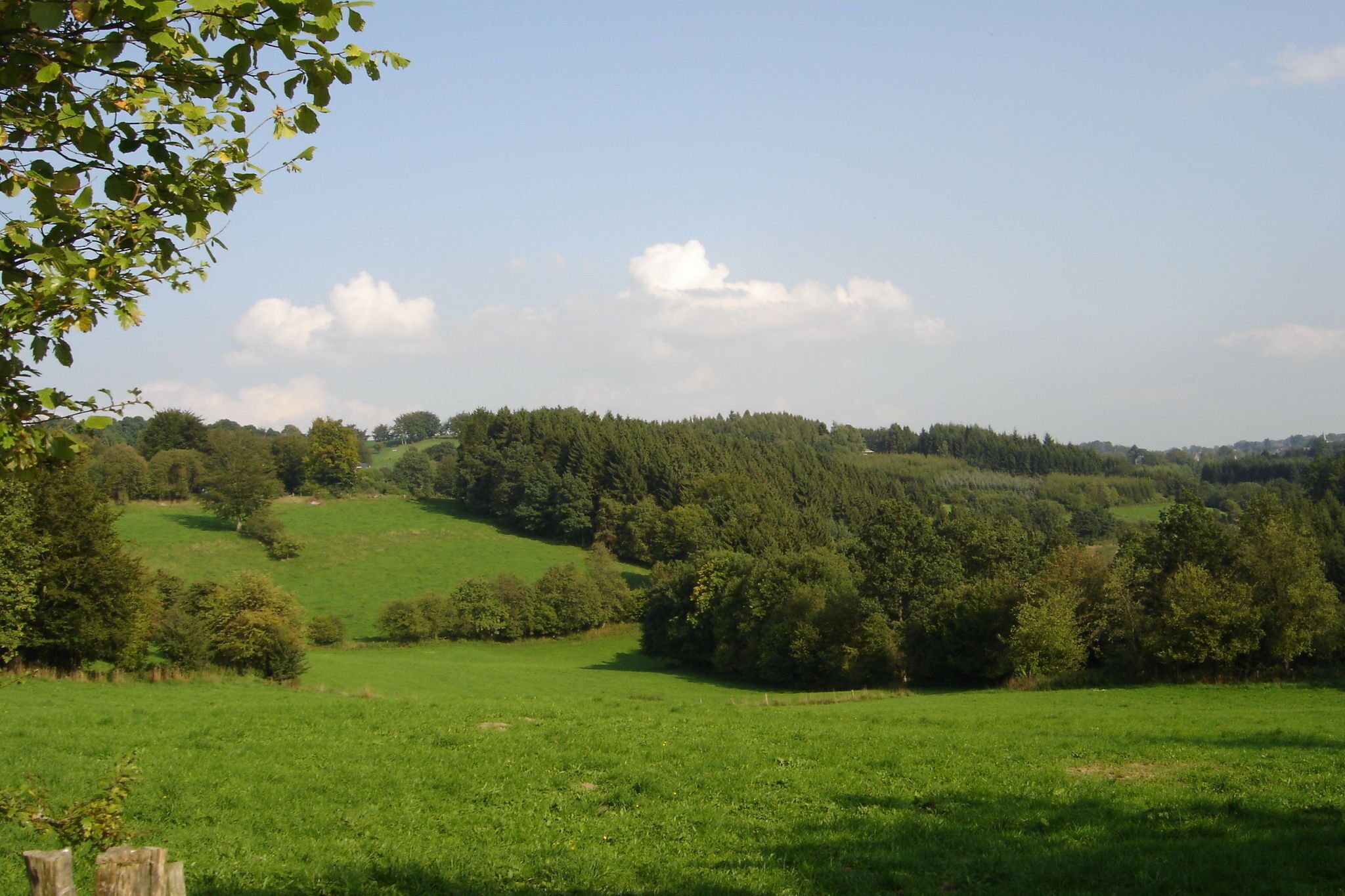 Un campo verde con árboles y colinas al fondo.