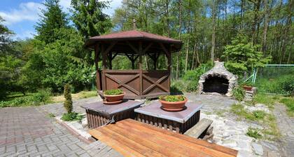 Idyllic Villa with Private Pool in Trebusin Czech Republic