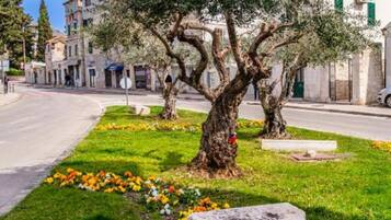 شقة (Two bedroom Apartment) | المنشأة من الخارج