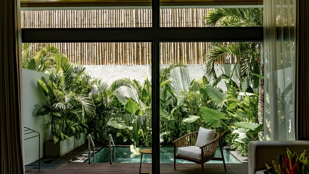 A modern outdoor space with a pool, lush greenery, and a wicker chair. - Sunny Cuddles (Canggu)