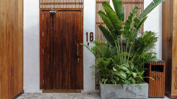 Una puerta de madera con el número 16 en la pared a su lado, una jardinera de concreto con plantas verdes y un pequeño mueble de madera.
