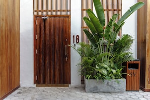 Una puerta de madera con el número 16 en la pared a su lado, una jardinera de concreto con plantas verdes y un pequeño mueble de madera.