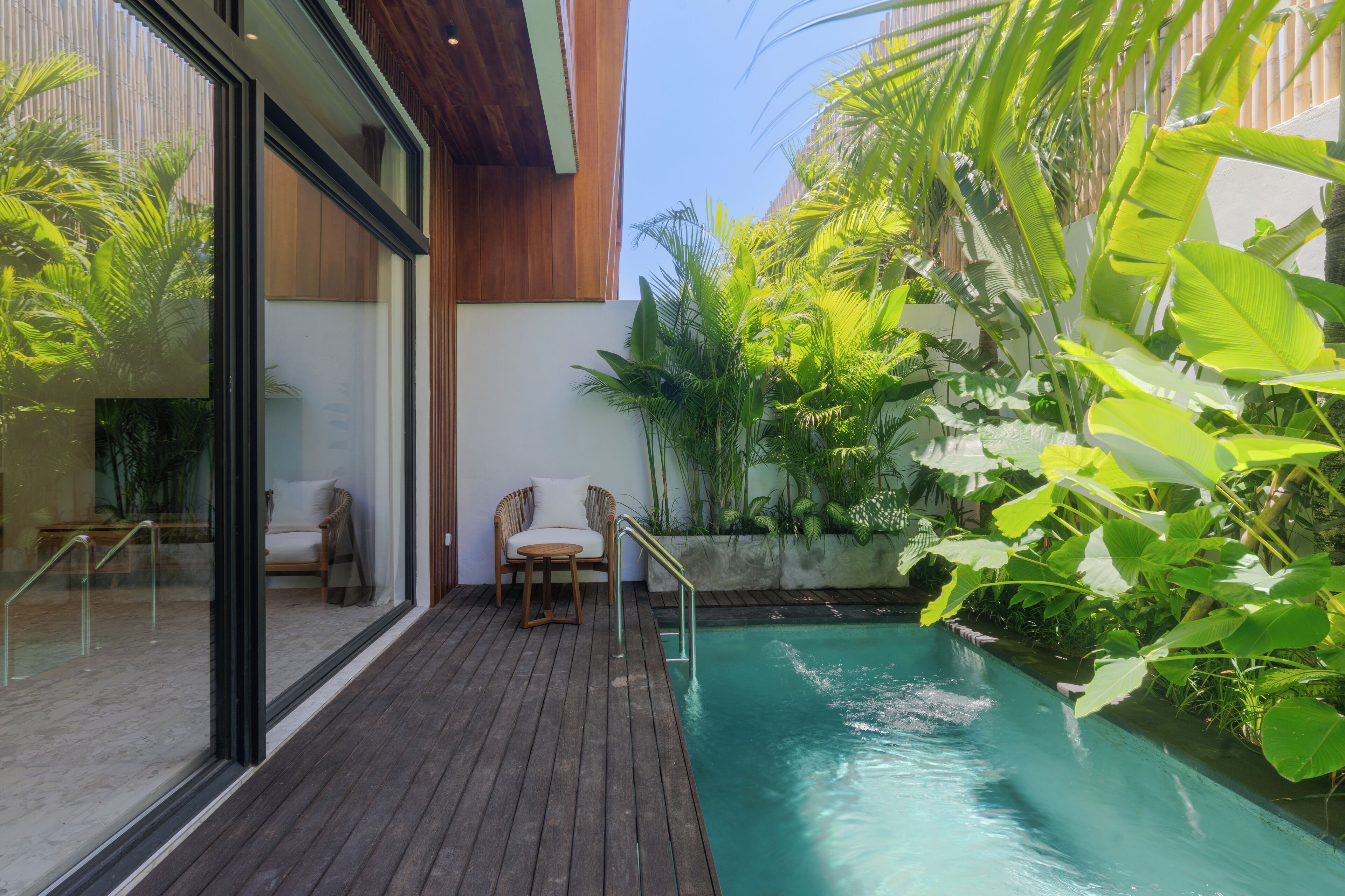 A modern outdoor pool area with wooden decking, two lounge chairs, and lush tropical plants.