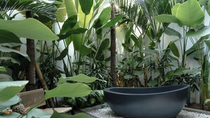 A modern indoor garden with a large black planter, various tropical plants, and a wicker chair. - Sunny Cuddles (Canggu)
