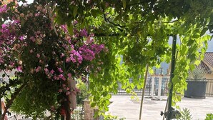 A garden area with a stone wall, green artificial turf, and flowering plants. - Themis Apart Hotel (Kotor)