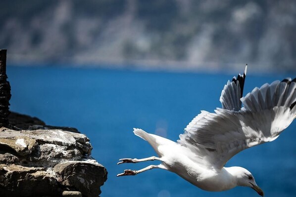 Unclassified image, 1 of 26, button