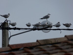 4 多间卧室、熨斗/熨衣板、旅行婴儿床、免费 WiFi
