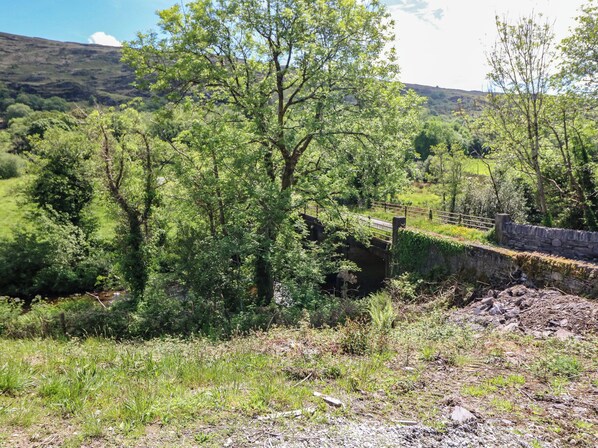 A rural landscape with a stone bridge, lush greenery, and a stone wall. - The Skating Rock (Milleens)