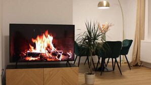 Un salon avec un téléviseur à écran plat diffusant une image de feu de cheminée, une plante en pot et une lampe moderne.
