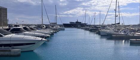 Marina
