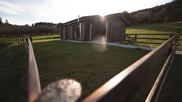 Área da propriedade