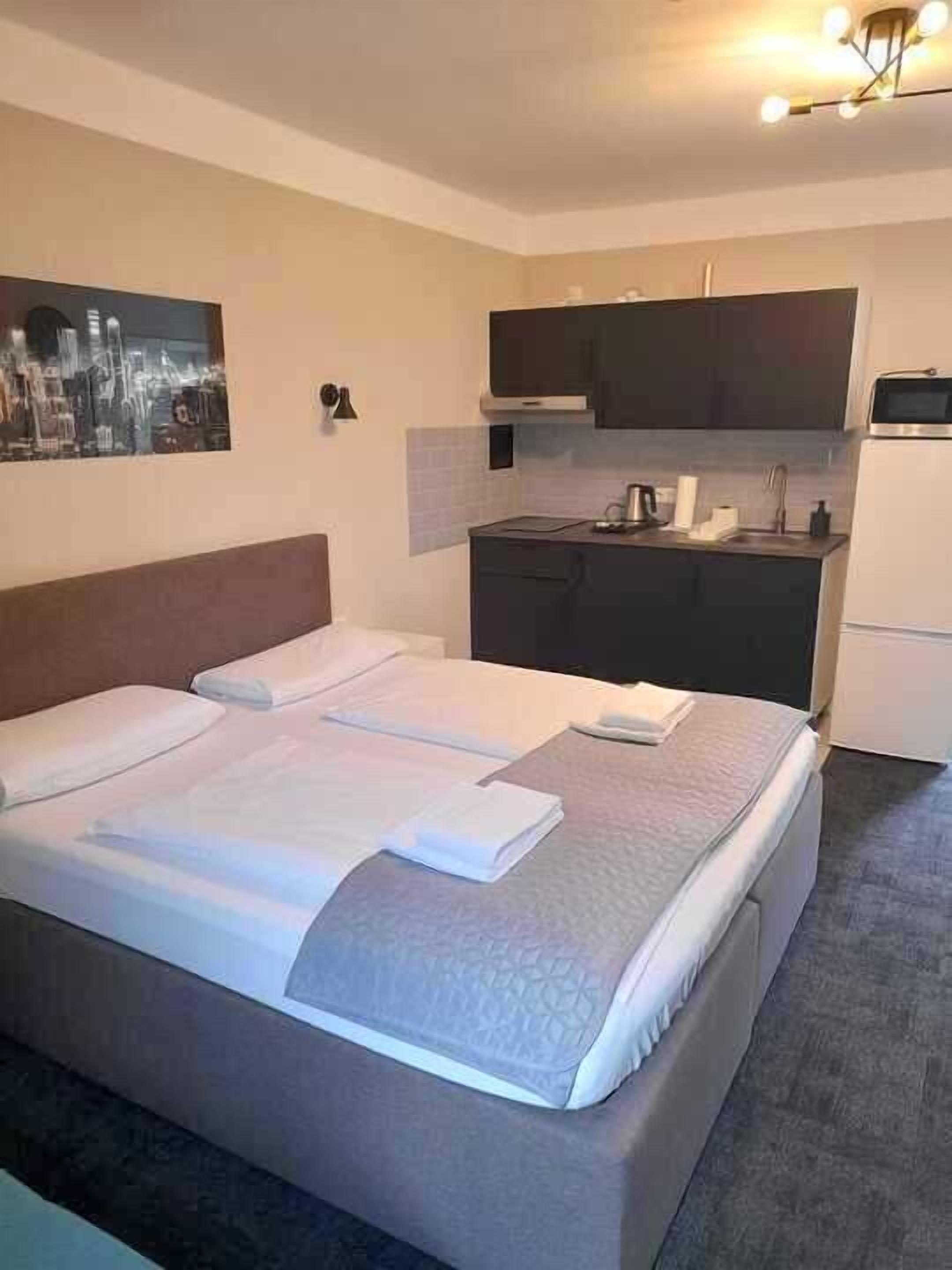 Quarto de hotel com uma cama, cozinha compacta e uma pintura com vista para a cidade.