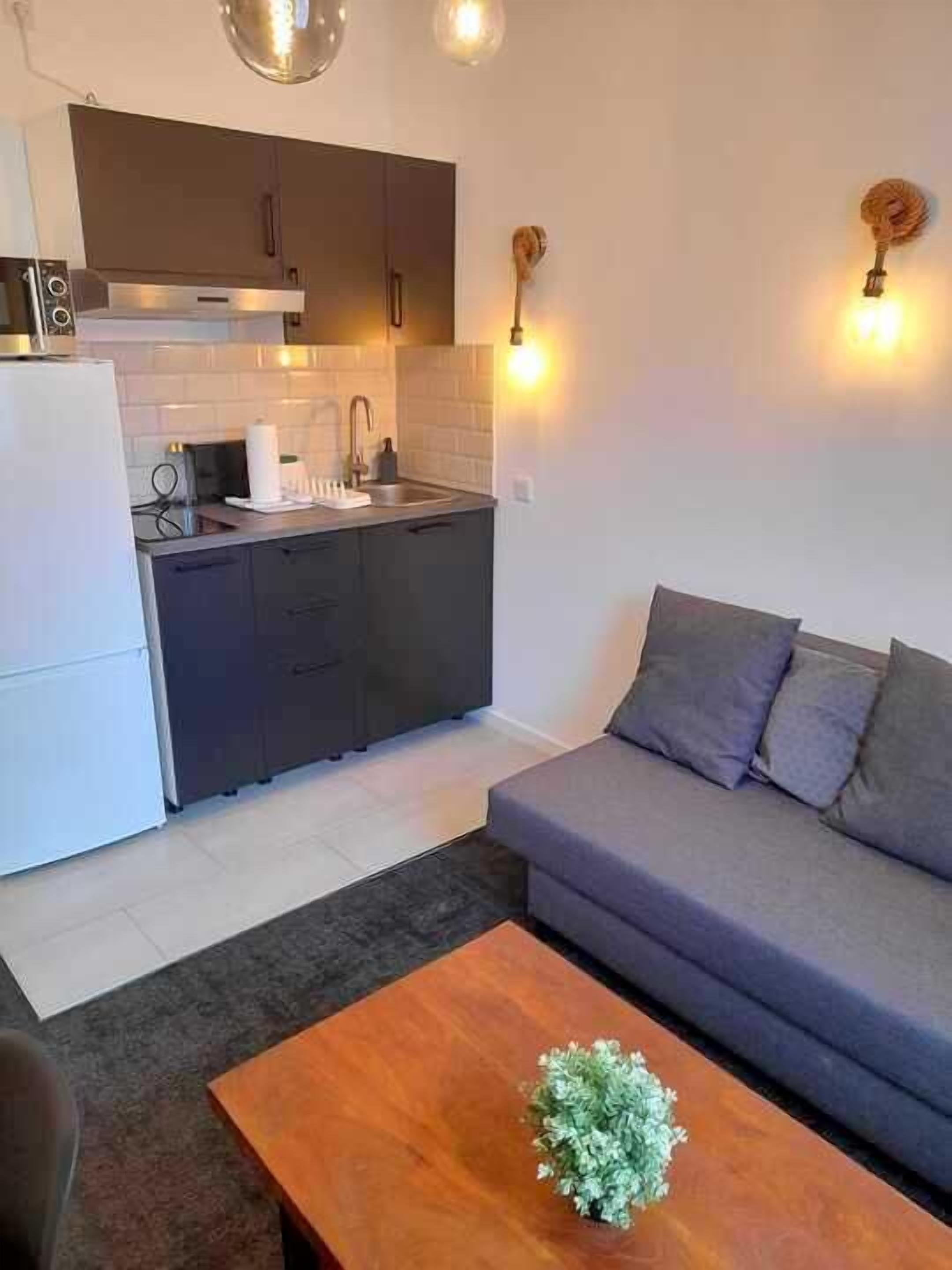 Una cocina moderna con armarios oscuros, un refrigerador blanco y un lavamanos. Hay un sofá gris y una mesa de centro de madera con una planta.