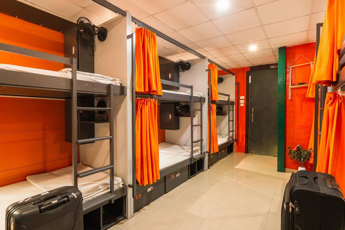Tangerine room (Mixed dorm)