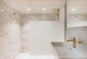 Shower, hair dryer, towels