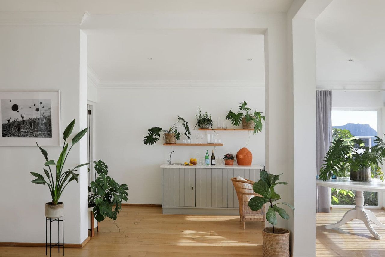 Een lichte kamer met een houten vloer, een witte muur en een grijze kast met planken waarop planten en keukenspullen staan.