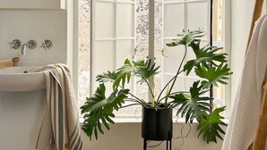 A bathroom with a window, a sink, a mirror, and a potted plant. - Beach House - Number 49 (Cape Town)