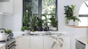 Een moderne keuken met witte kasten, een groot rondboogvenster en potplanten.