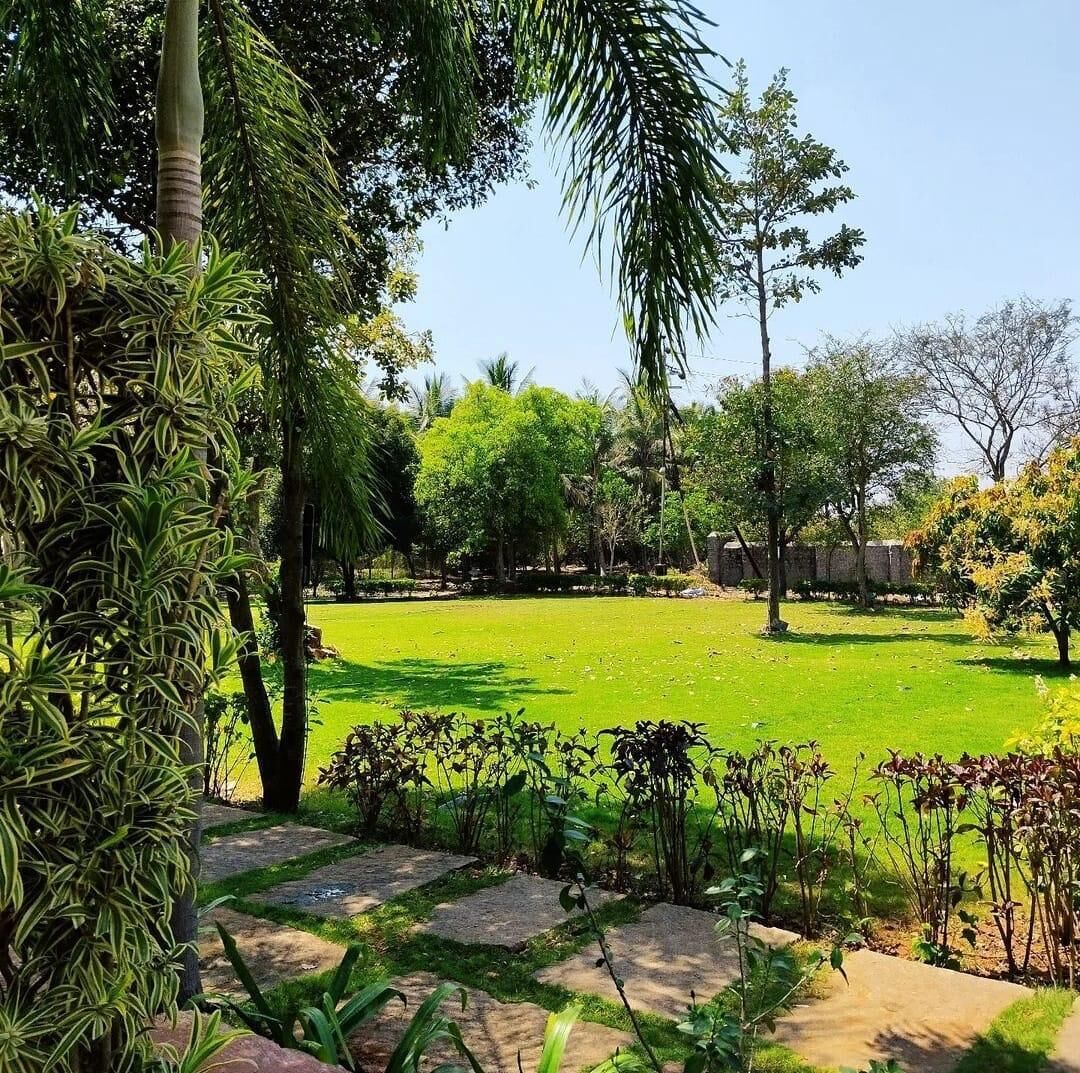 Garden view