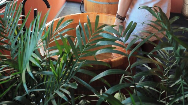 A spa room with a wooden tub, a window, and indoor plants. - 9 Inn - Staycation in Am Am Dalat (Xuan Huong - Da Lat)