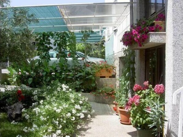 Stroll through the serene garden, surrounded by lush greenery and vibrant blooms, with a pathway leading to a tranquil oasis.
