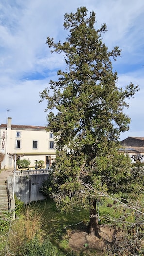 Área da propriedade