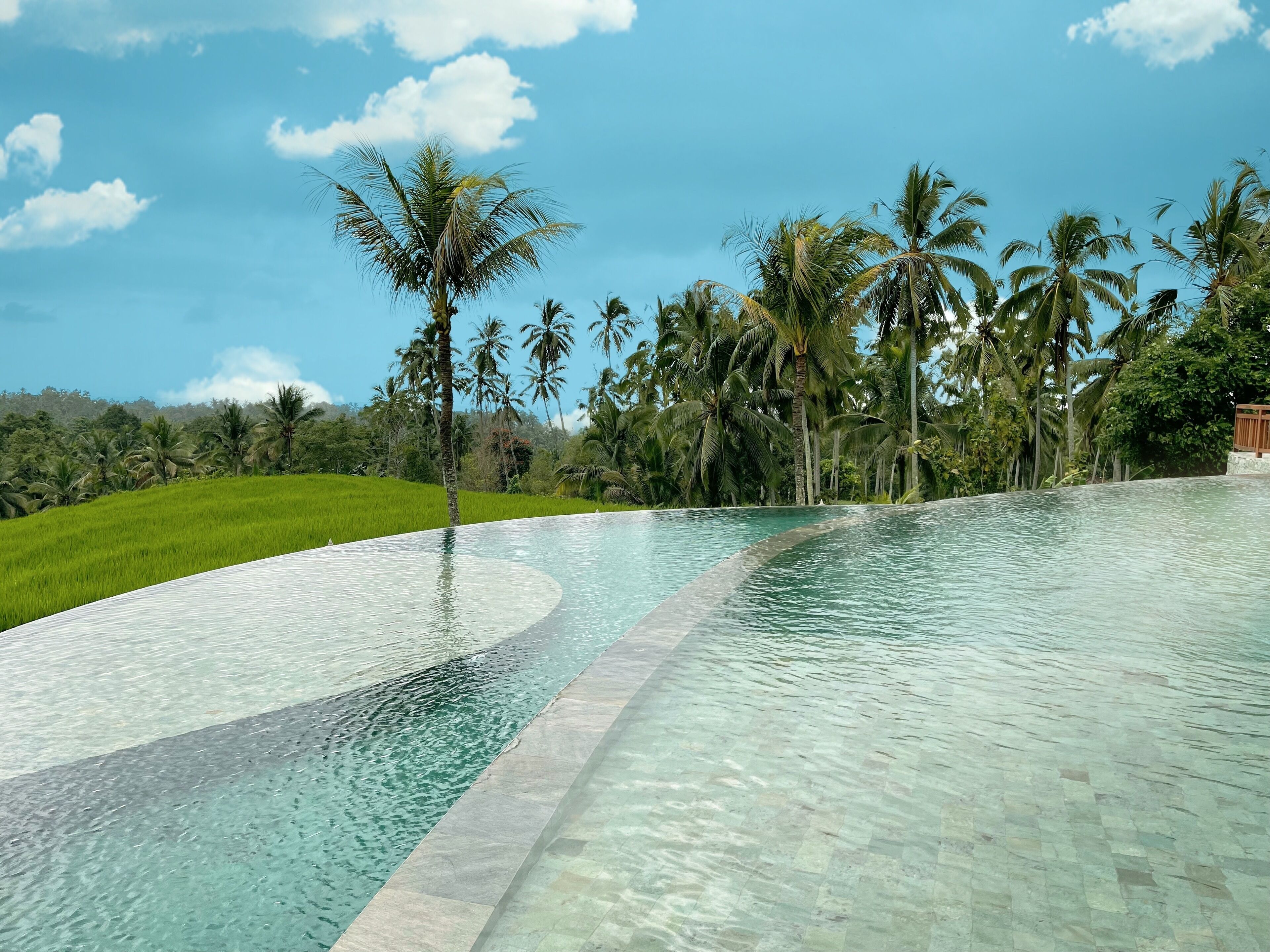 A clear pool with a tiled edge, surrounded by lush greenery and palm trees under a blue sky.