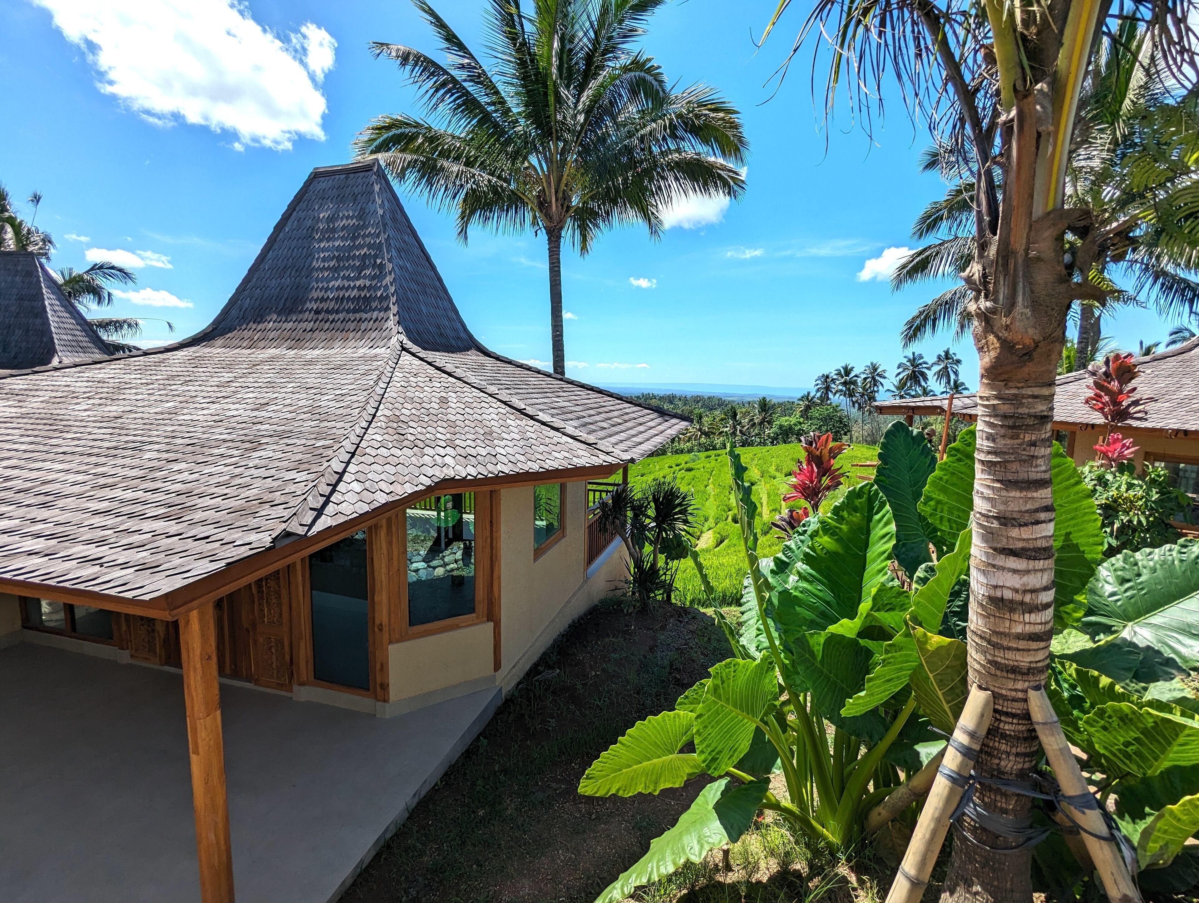A house with a thatched roof, large windows, and a view of a lush landscape with palm trees.