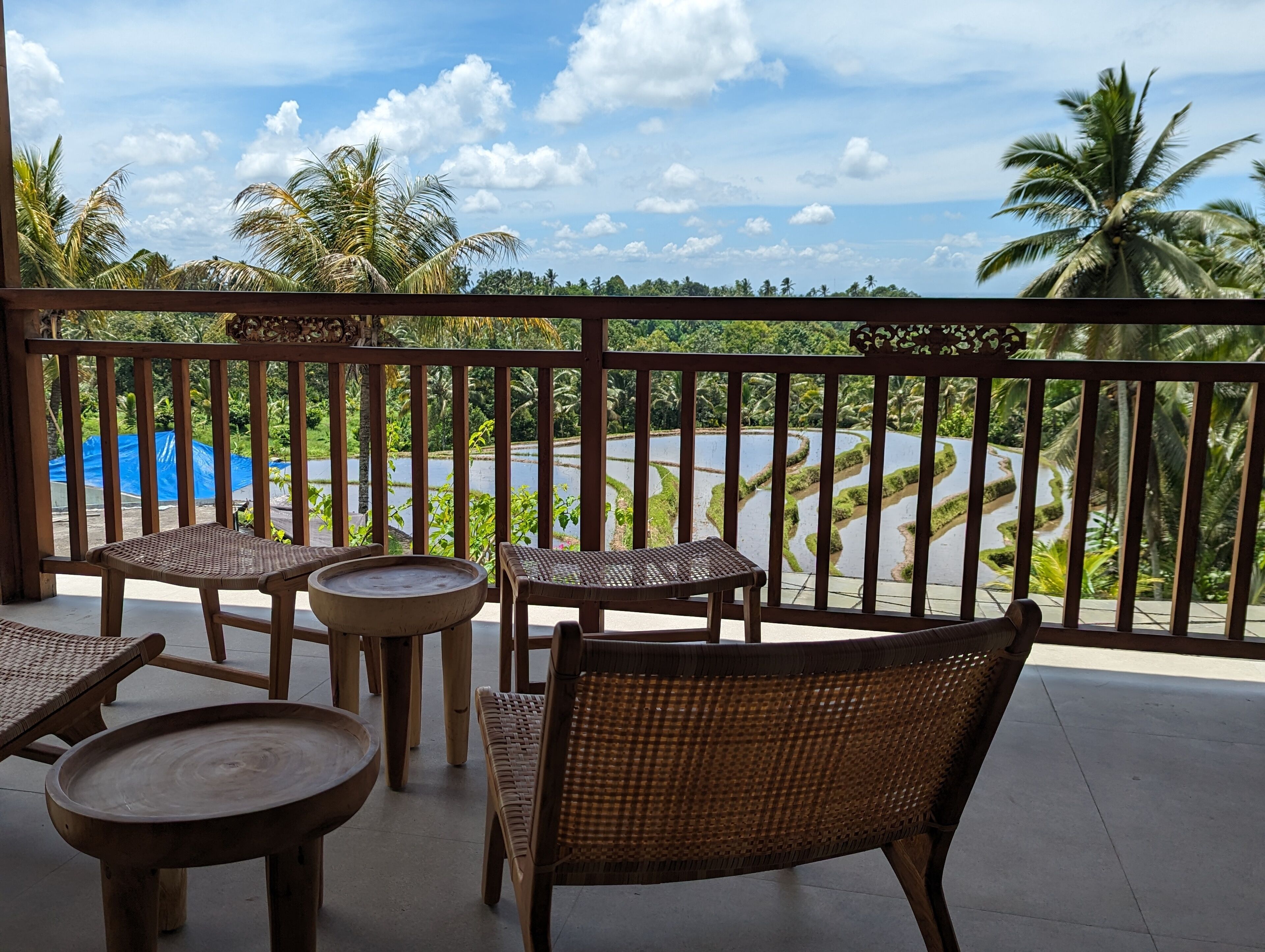 Habitación panorámica con 1 cama doble o 2 individuales | Terraza o patio