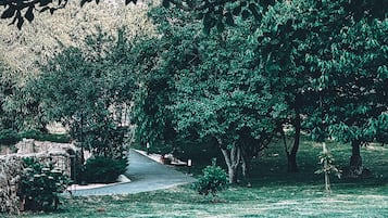 Jardines del alojamiento