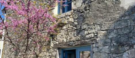Detalle exterior