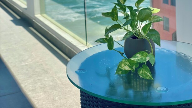 Un balcón con una planta en maceta, una mesa de vidrio y vistas al océano.