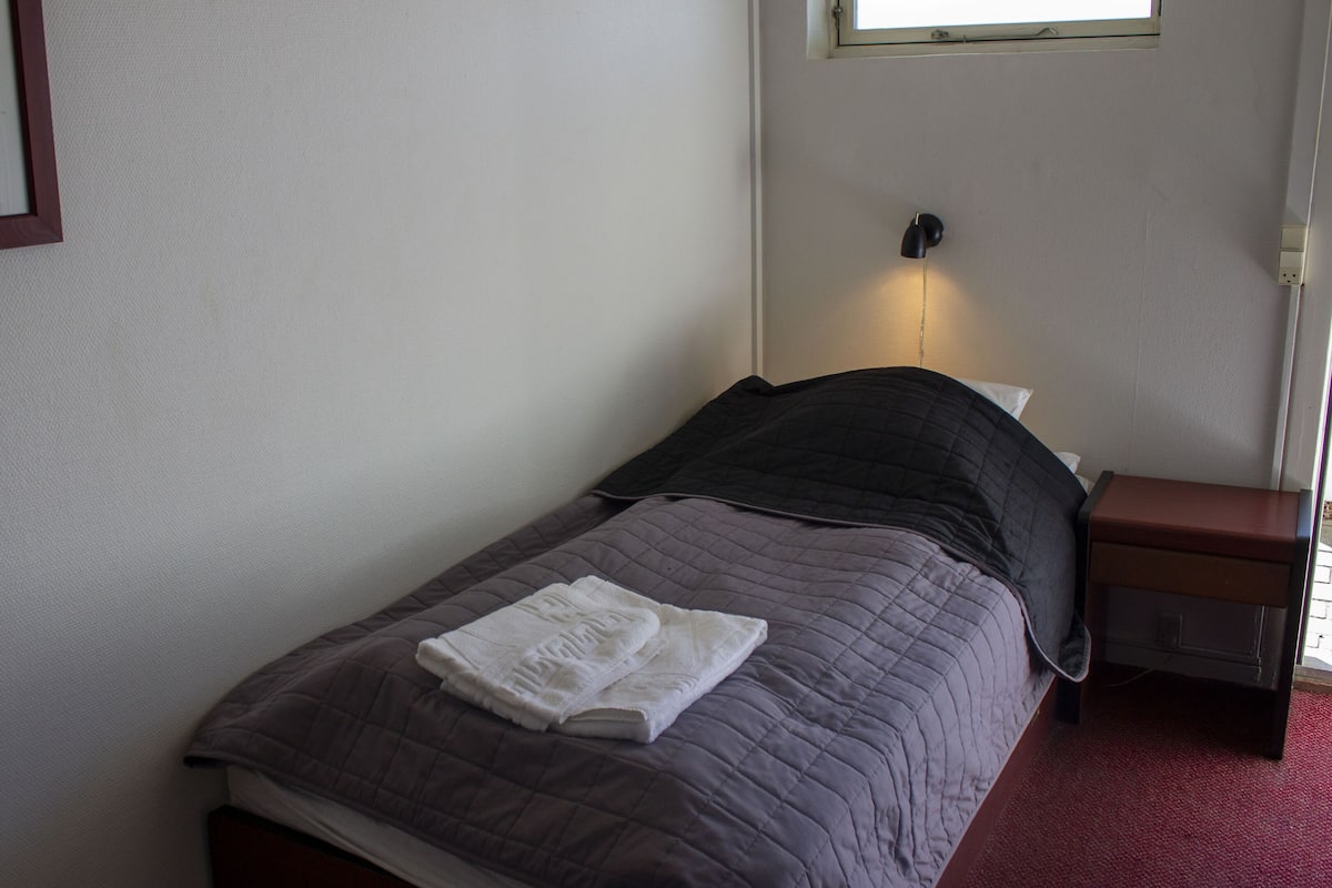 Basic Single Room | 1 bedroom, desk, laptop workspace, free WiFi