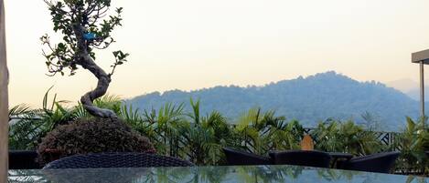 Vue sur les montagnes