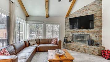TV, fireplace, books