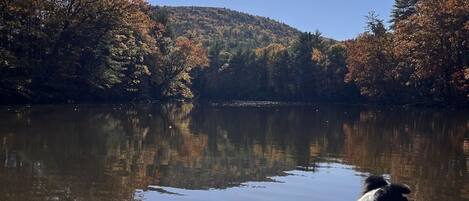 Casa, 4 habitaciones | Áreas de la propiedad