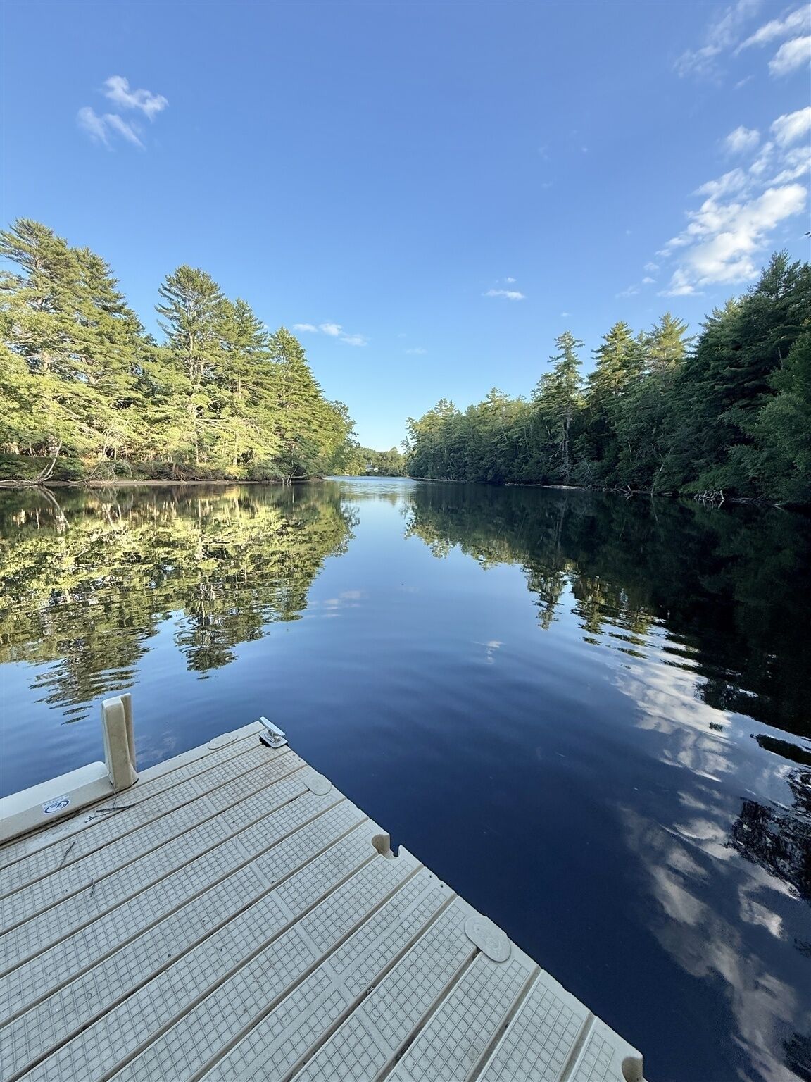 A calm river with a wooden dock extending into the water, surrounded by dense trees.