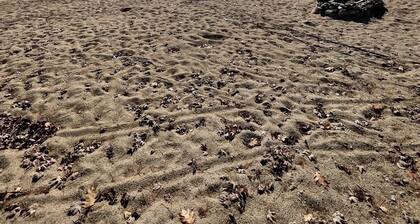 1901 House Limit 10 4 Bedroom Cottage by RedAwning