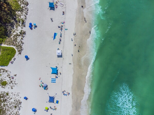 On the beach - Beach and Heated Pool at Nautilus 202 (Holmes Beach)