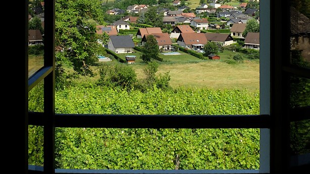 Vista a través de una ventana de un paisaje montañoso con casas y viñedos.