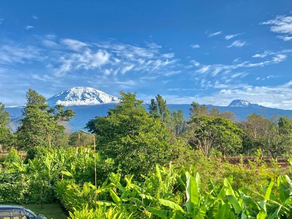 A mountain with snow-capped peak, lush greenery, and a clear blue sky.