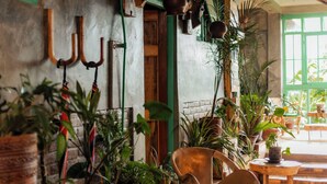 A rustic interior with hanging plant pots, a wooden chair, and a table.